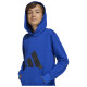 Adidas Παιδικό φούτερ Essentials Big Logo French Terry Hoodie Adidas Παιδικό φούτερ Essentials Big Logo French Terry Hoodie